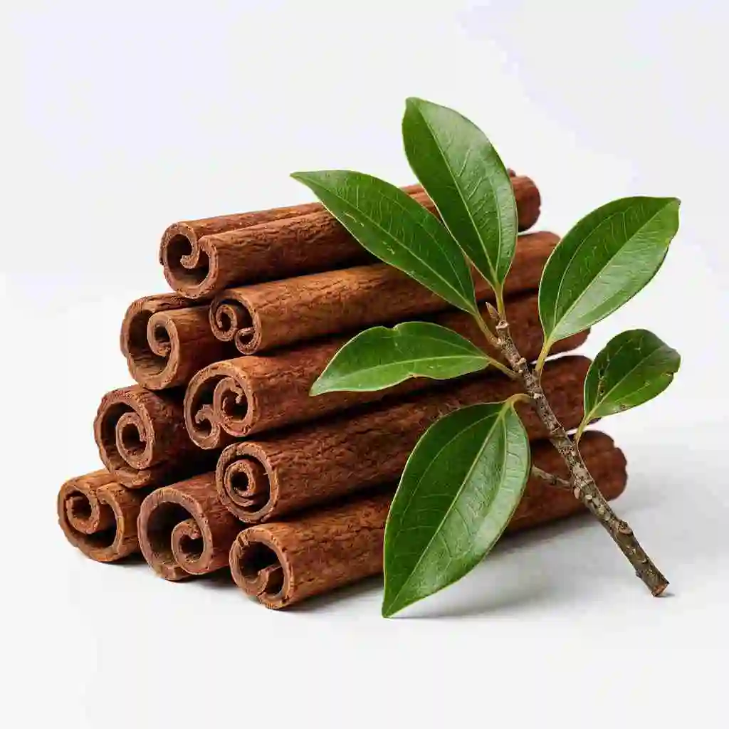 cinnamon bark extract